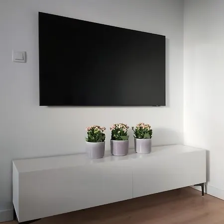 150 Zaspa Vvita * 格但斯克