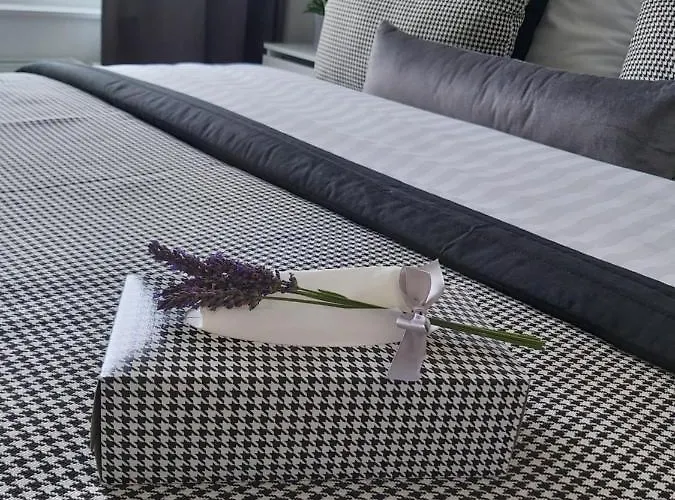 شقة 150 Zaspa Vvita *